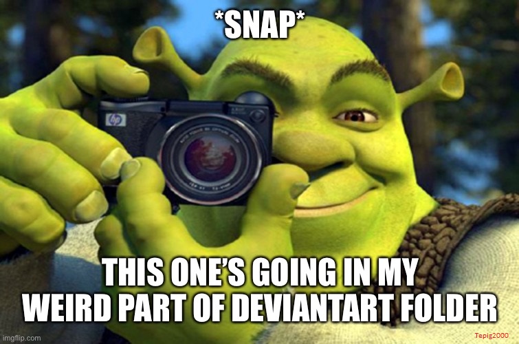 Meme - Shrek Snapping a picture.