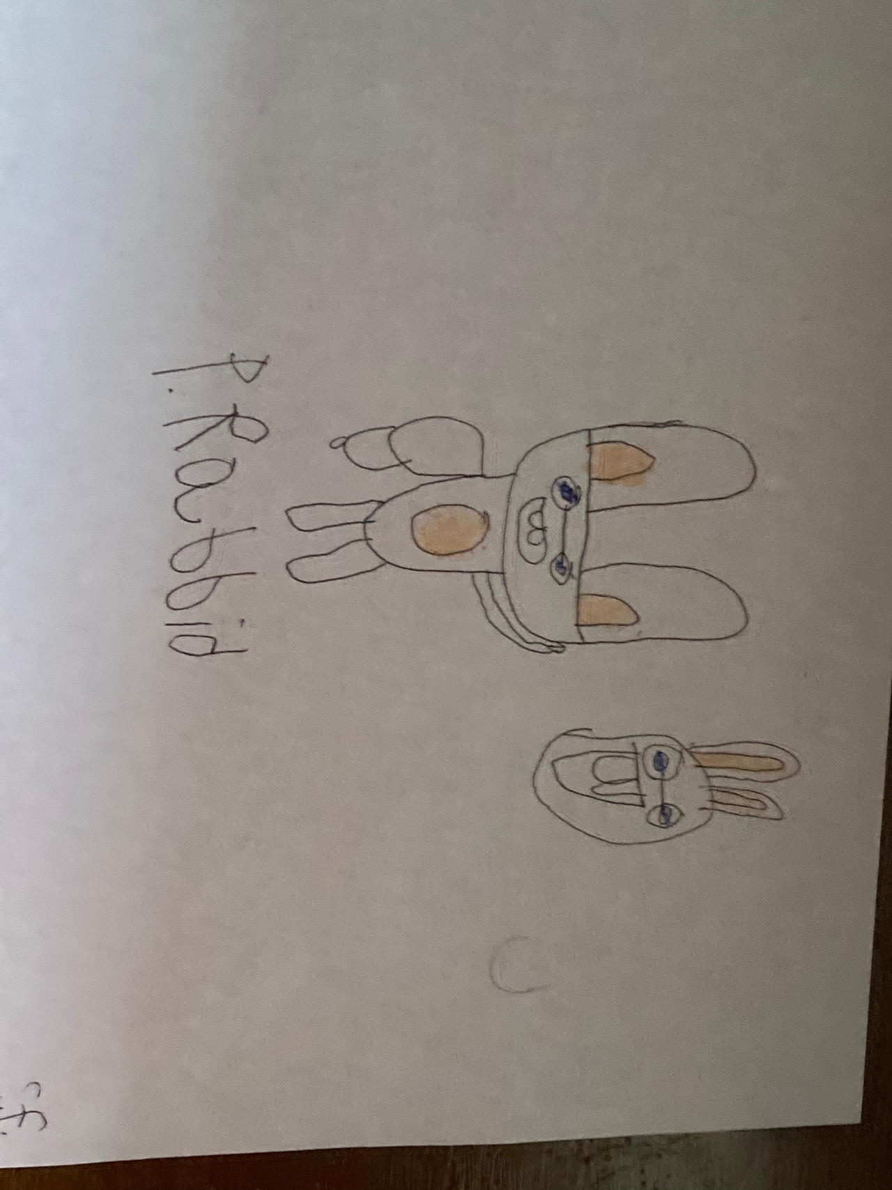 Professor Rabbid Character Concept Art by tepig2000 on DeviantArt