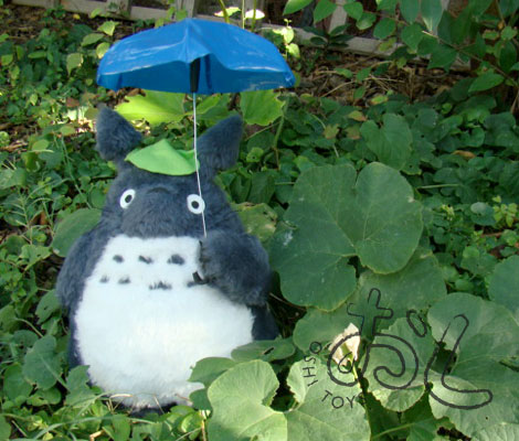 Totoro Edicion Especial