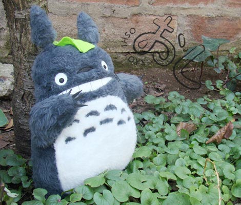 Totoro Basico