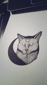 .Three Eyed Cat in a shaped Moon.