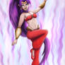 Shantae 1/2 Genie Hero