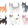 cat adopts (6/8 OPEN)