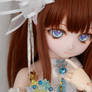 MDD New head 02