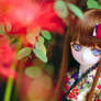 Lycoris MDD Omake