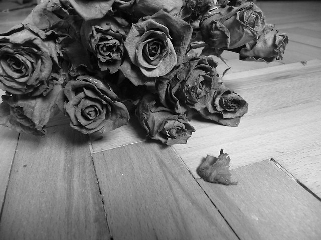 Dried roses