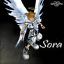SORA with wings