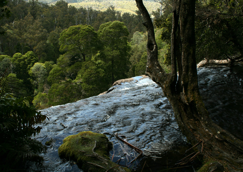 Russel Falls - Top