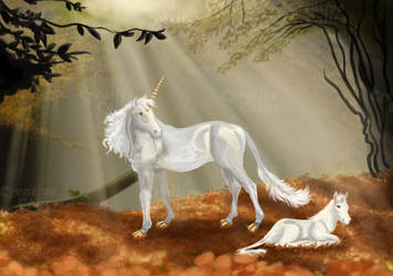 Unicorns in the Glade