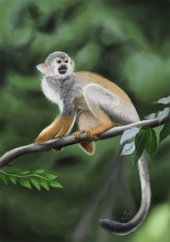 A Monkey for NeanderThor
