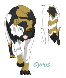 Cyrus