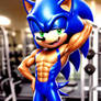 Sonic gym body