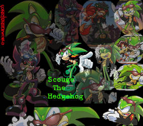 Scourge The Hedgehog