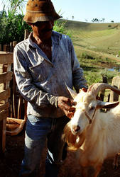 Fazenda em Cambui