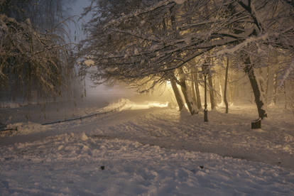 Winter stock at night