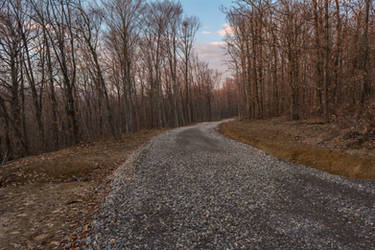 Forest Road