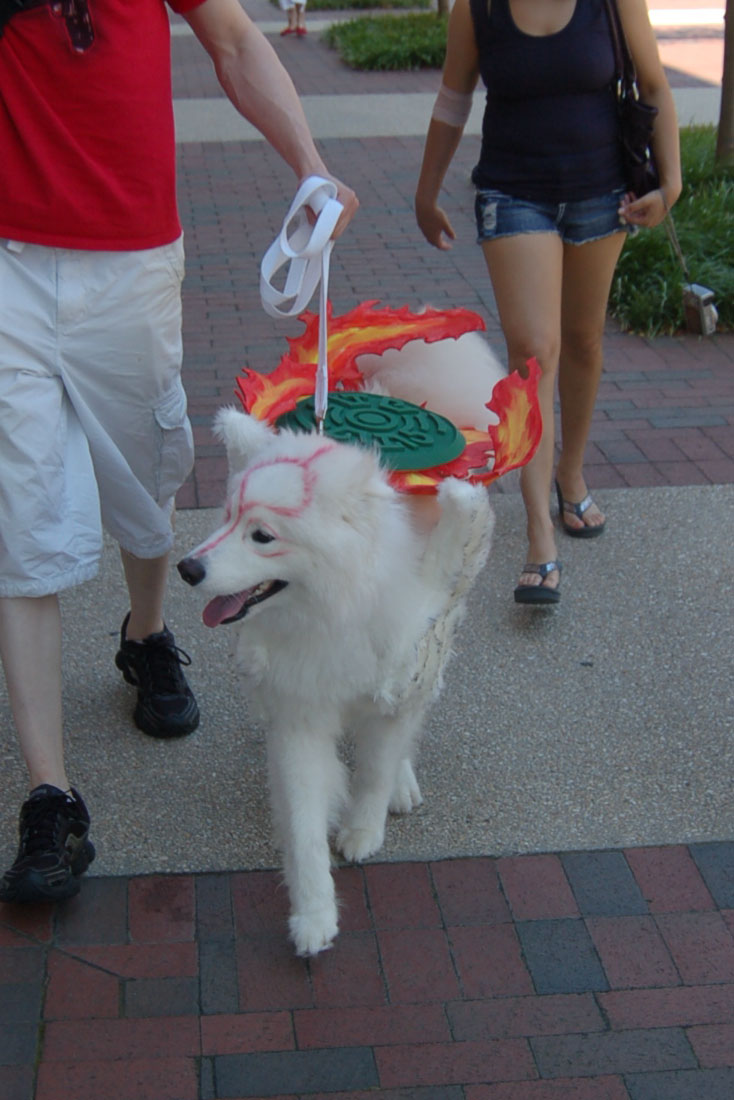 Amaterasu - Walking Front by volko-dav