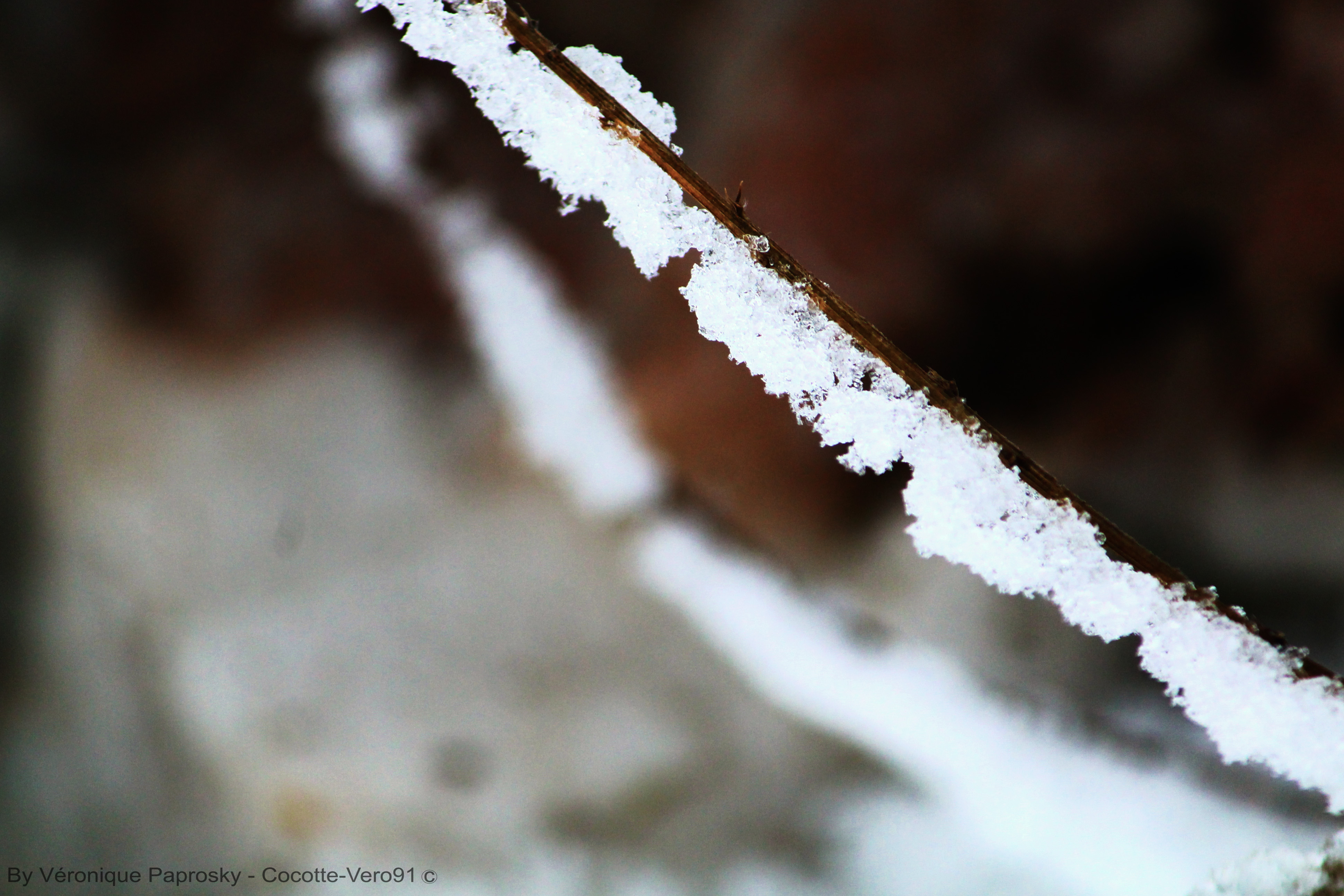 Sticky snow on Rod Brown