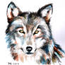 Wolf Portrait ~
