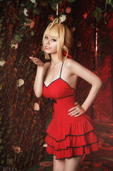Fate/Extra - Saber Nero pin-up style