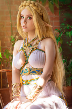 Cosplay Zelda