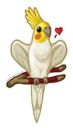 STICKER: Cockatiel Heartwings by Brushfeather