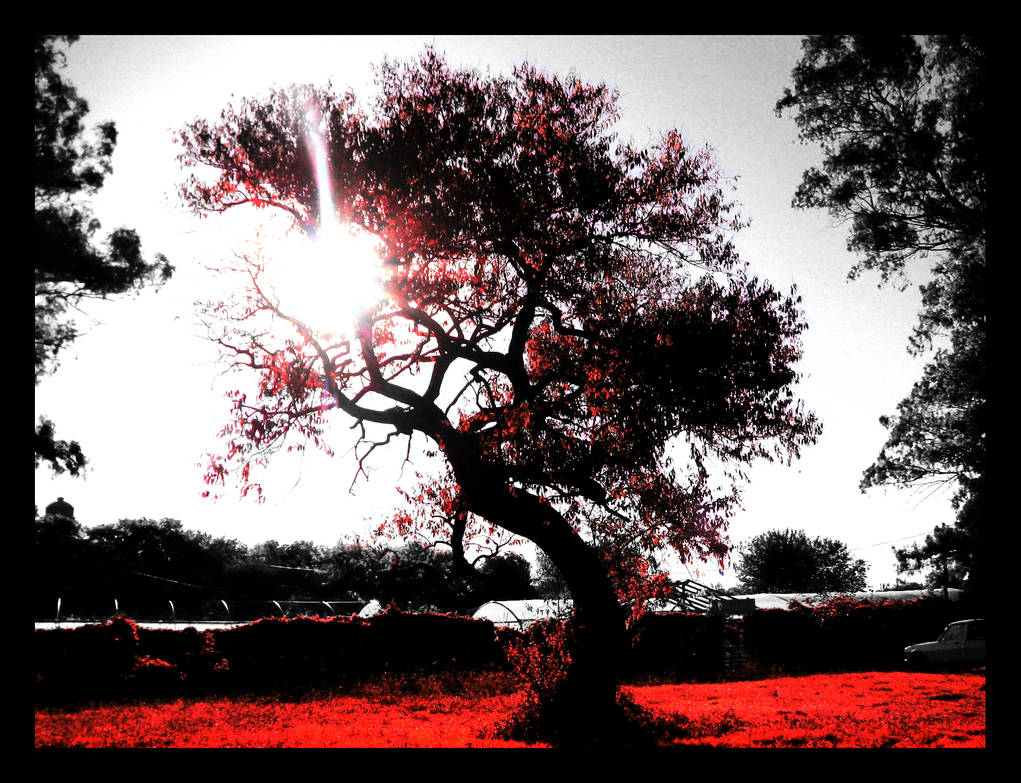 Fhe Bleeding Tree The Bleeding Tree by jecsoares on DeviantArt