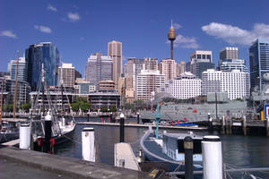 A day at the harbour