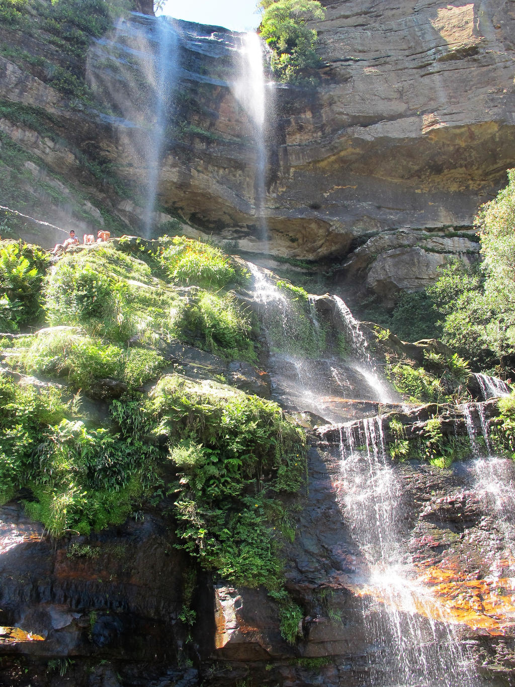 Waterfall Paradise