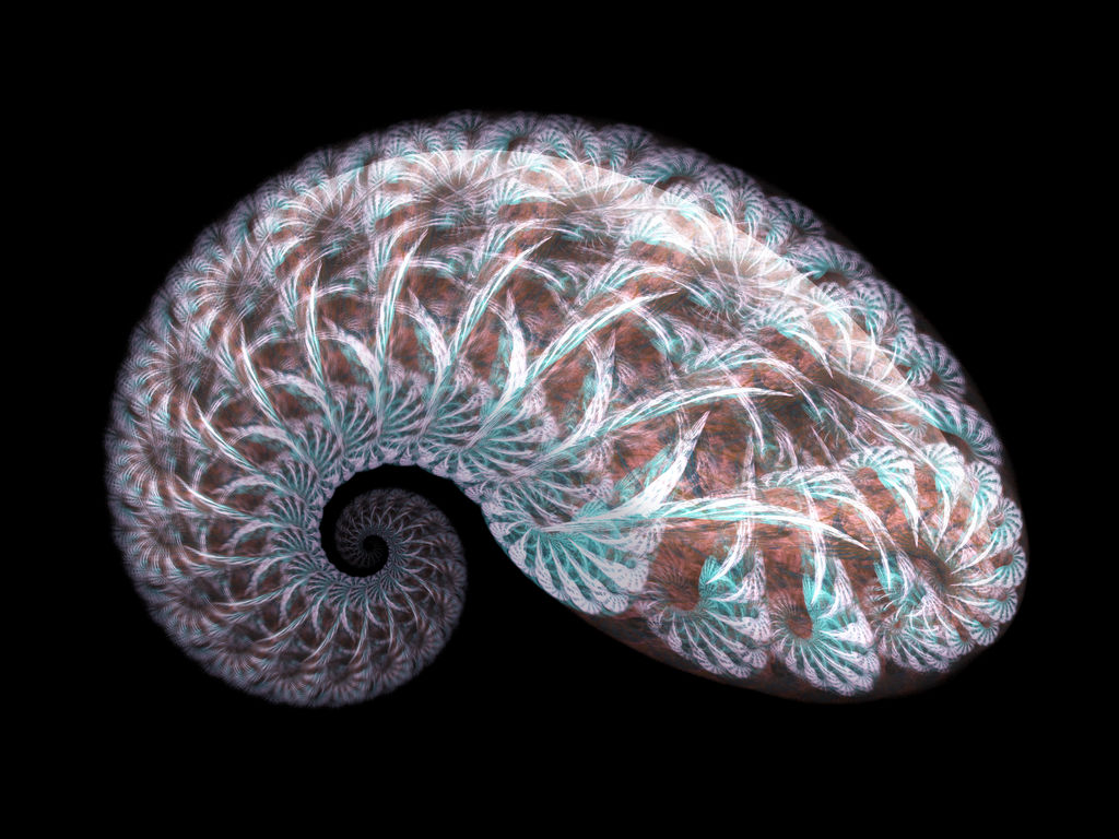 Fractal Nautilus by GalaxyFractals on DeviantArt