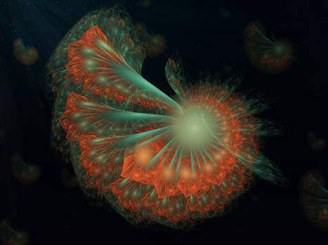 Fractal Jellyfish