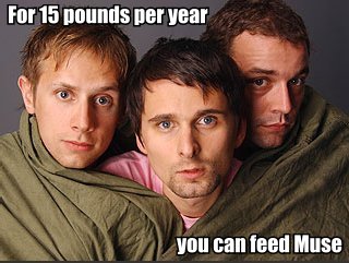 For 15 pounds per year...