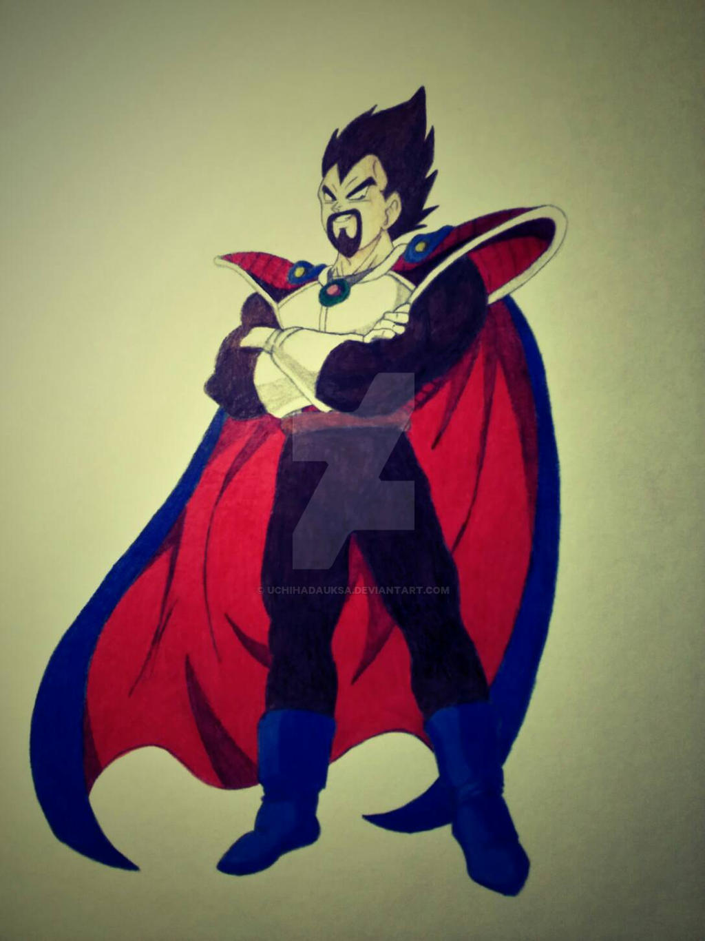 King Vegeta