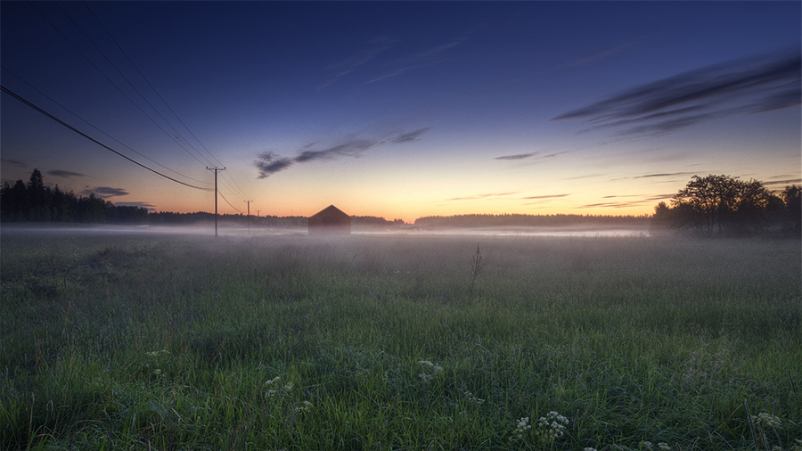 Country Field