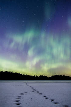 Aurora Trail