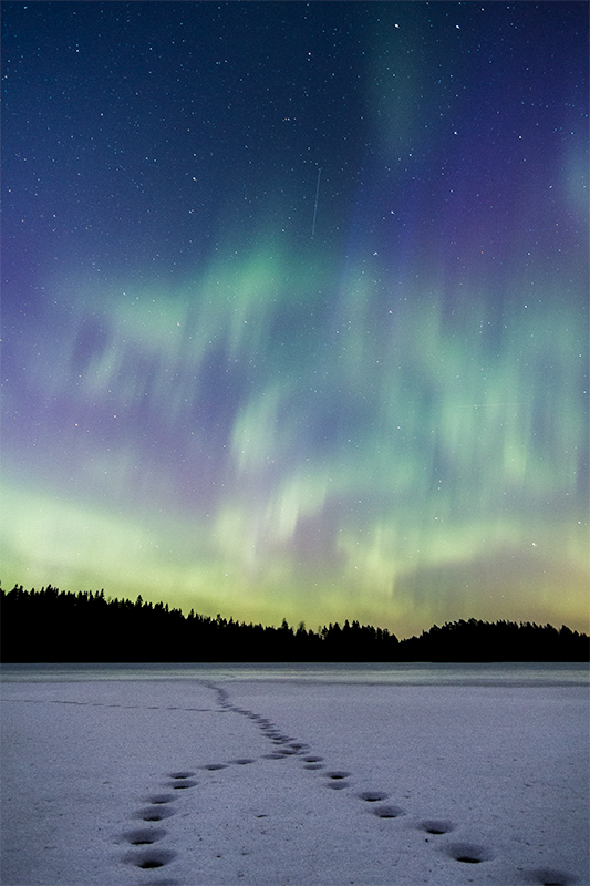 Aurora Trail