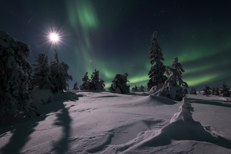 Auroras and the Moon