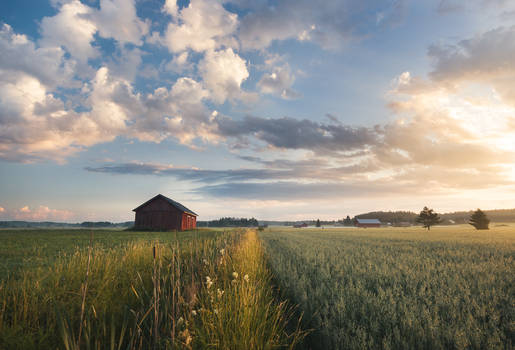 Between the Fields