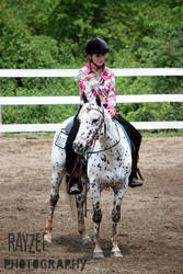 Appaloosa 2