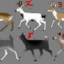 OPEN winter deer adopts