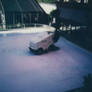 Polaroid: Zamboni