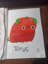 tomato pug ^^