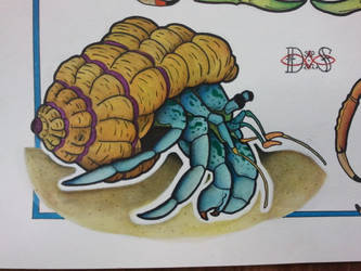 Tattoo Flash: Hermit Crab