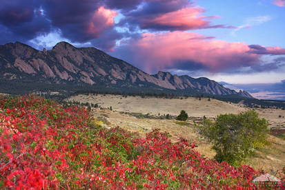 Flatiron Autumn