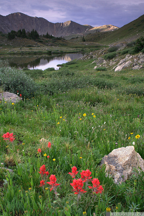 Loveland Pass Ponds