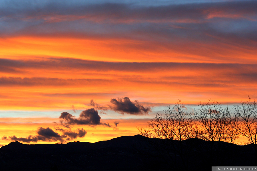 Painted Skies