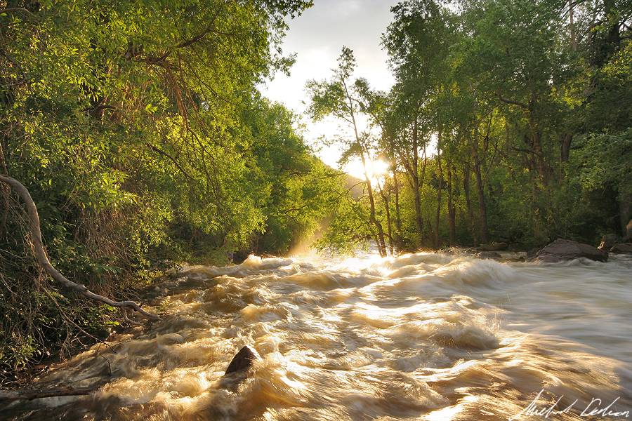 Sunny High Waters