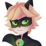 Chat Noir