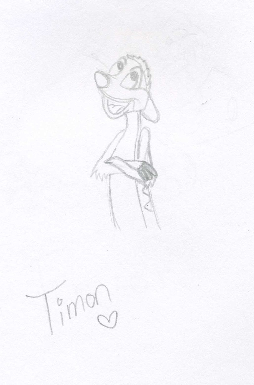 Timon by BrokenInsanityXx on DeviantArt