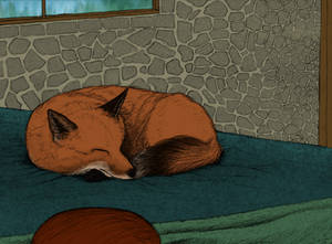 A... Fox Nap